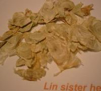 Oroxylum Indicum %