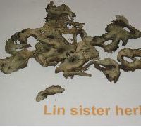 CYATHULA ROOT *