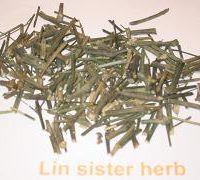 GREEN CHIRETTA