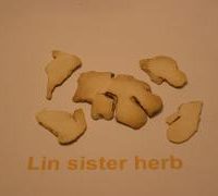 DRY GINGER