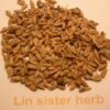 TANGERINE (SEED)*