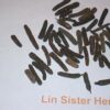 Long Pepper~
