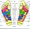 Reflexology Map