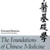 The Foundations of Chinese Medicine