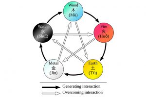 Read more about the article The Five Elements